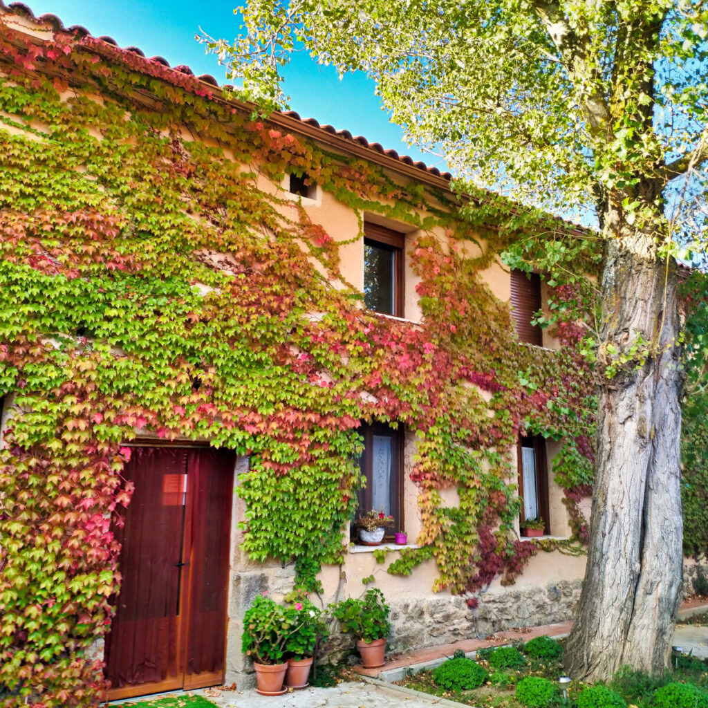 Retiro de Otoño (Zamora)