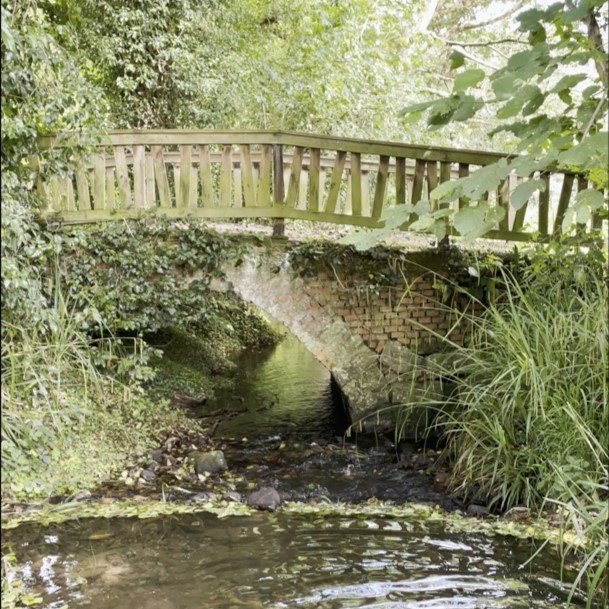 Retiro de Yoga y Meditación